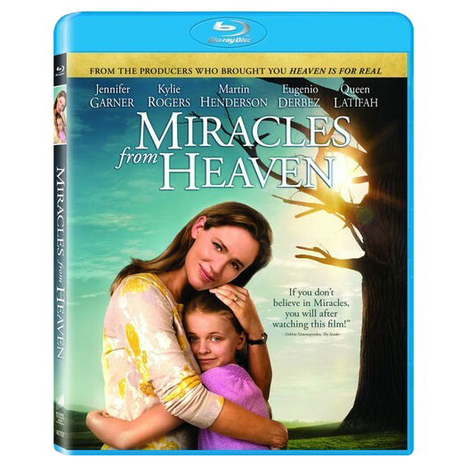 dvd image